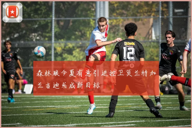 森林狼今夏有意引进控卫莫兰特加兰吉迪或成新目标