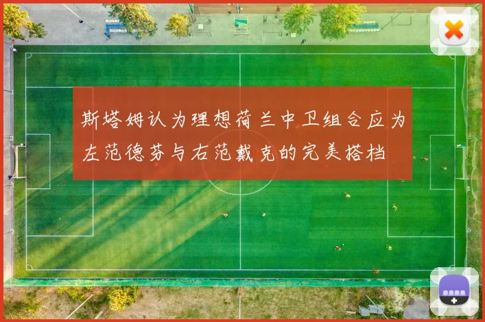 斯塔姆认为理想荷兰中卫组合应为左范德芬与右范戴克的完美搭档